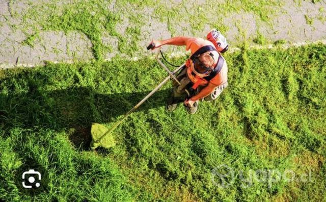 Mantención áreas verdes y pintura