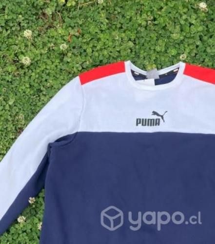 Puma poleron