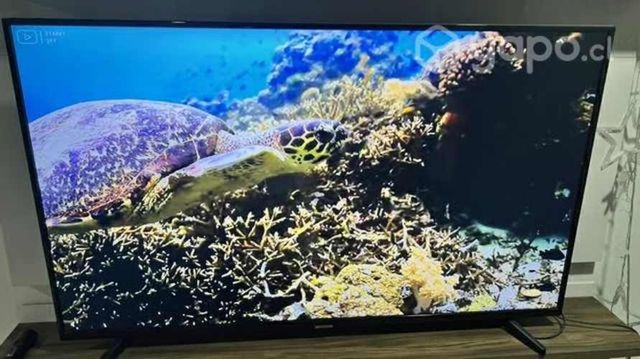 TV de 55 pulgadas-home theater