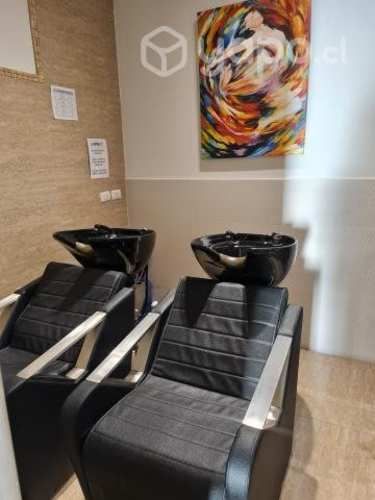 Lavapelo Negro Ricco Con Alzapie Eléctrico