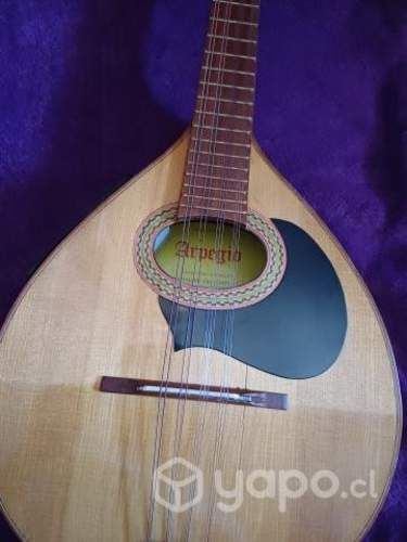 mandolina 10 cuerdas pantaleon cea c.