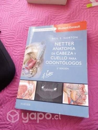 Netter anatomía cabeza y cuello para odontol