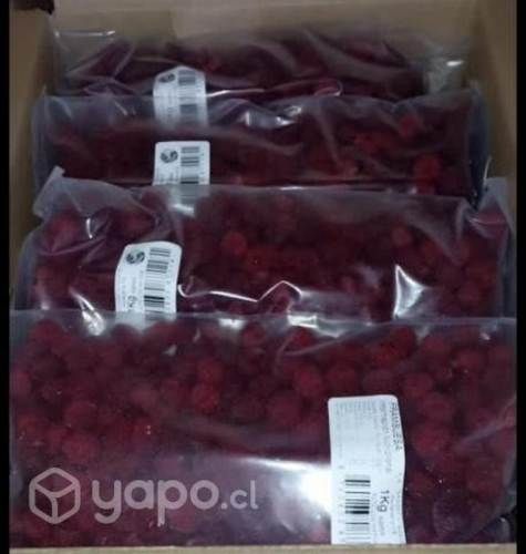 Frambuesas IQF congeladas