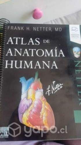 Atlas de atonomía humana