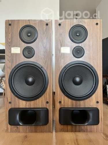 Hermosos y exclusivos parlantes Pioneer CS-R570