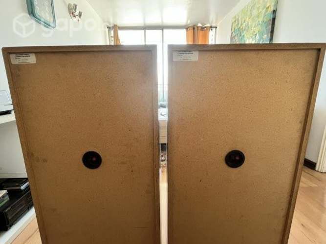 Hermosos y exclusivos parlantes Pioneer CS-R570