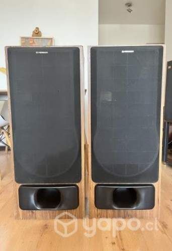 Hermosos y exclusivos parlantes Pioneer CS-R570