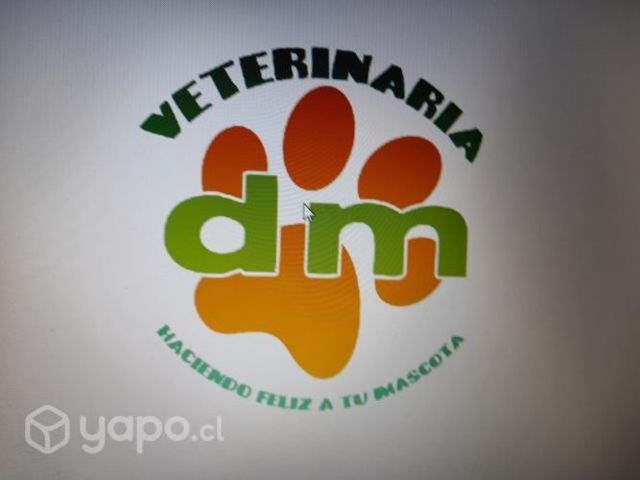 Consulta veterinaria