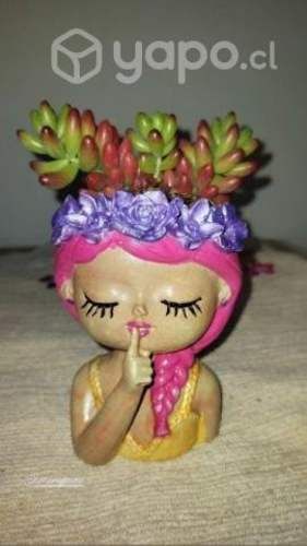 Maceteros suculentas cactus