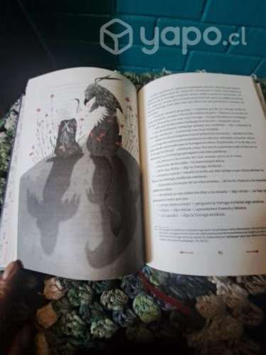 Alicia edición completa Lewis carroll