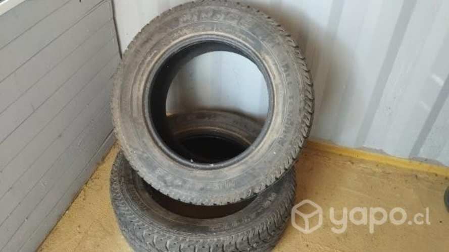Neumáticos de Camioneta