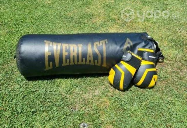 Saco boxeo everlast