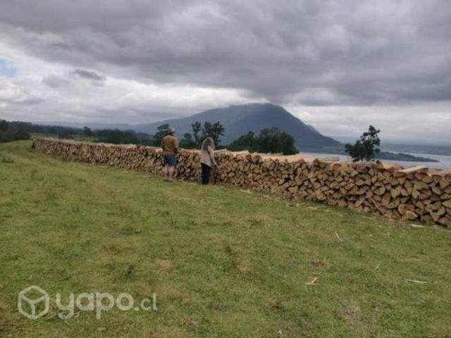 Venta de leña x metro. Eucalipto