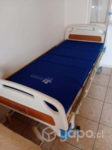Cama clínica nueva
