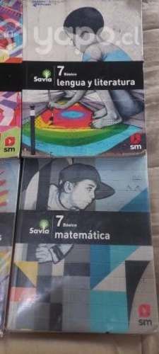 Proyecto Savia 8vo Basico