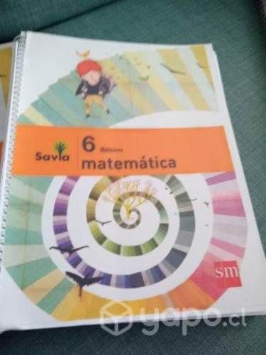 Libro de matemáticas 6 básico