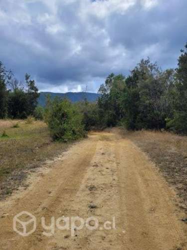 Parcela Bahía Mansa. ULTIMAS PARCELAS DE 5000 Mts