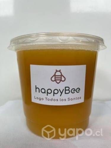 Miel Lago Todos los Santos