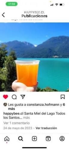 Miel Lago Todos los Santos