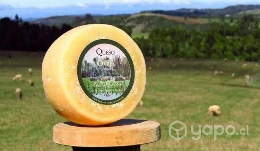 Queso de oveja