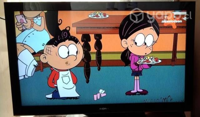 Tv sony bravia lcd hd 40" impecable