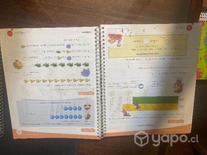 Textos Pathway 2 to math