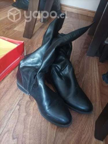 Lote de botines