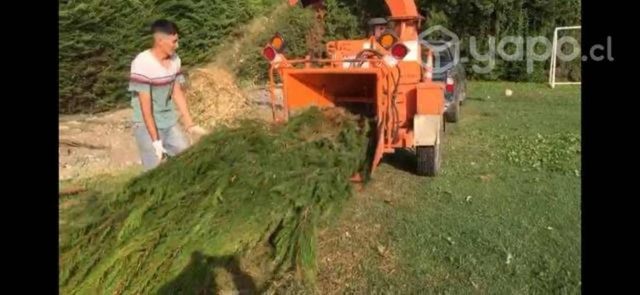 Arriendo chipeadora ramas