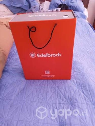 Parka de pluma Suiza