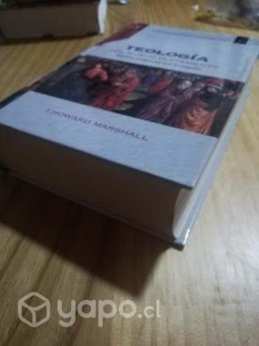 Teología del Nuevo Testamento