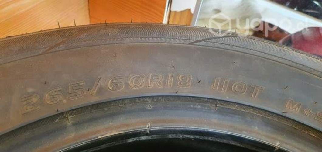 Neumáticos aro 18