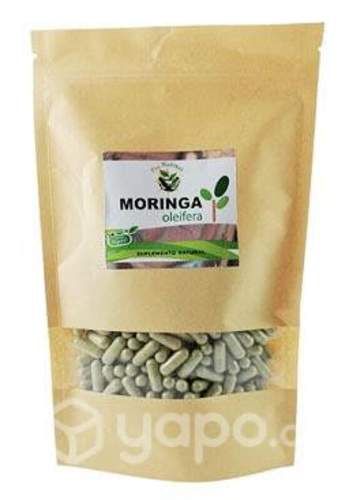 Moringa Oleífera doypack de 600 cápsulas
