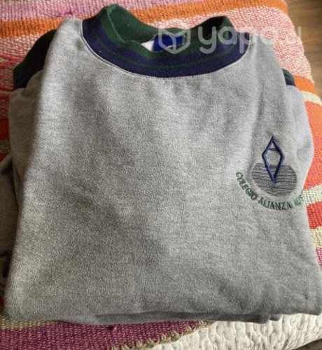 Polerón colegio Alianza Austral