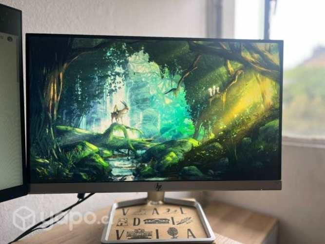 Monitor HP M22f