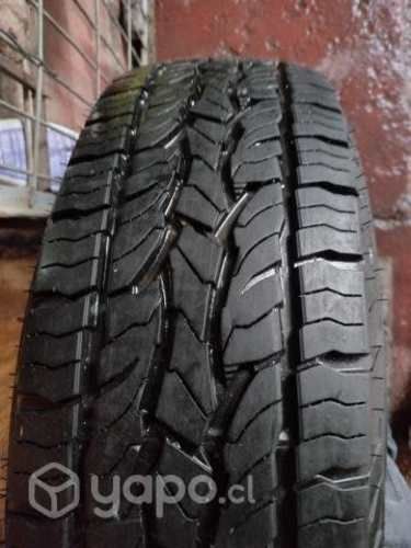 Neumáticos dunlop aro 15