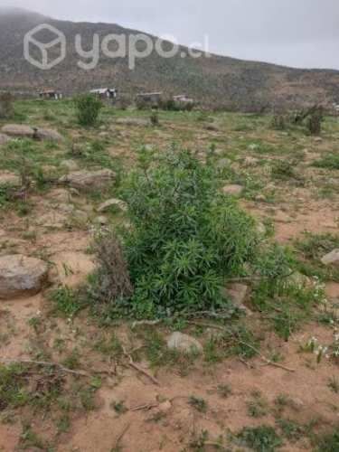 Vendo parcela en La Serena