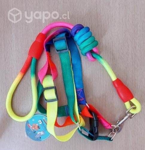 Arnés con paseador, plato metálico más pelota disp