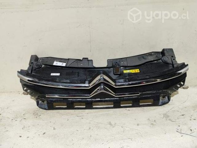 Máscara Citroen C /rgd01m02j