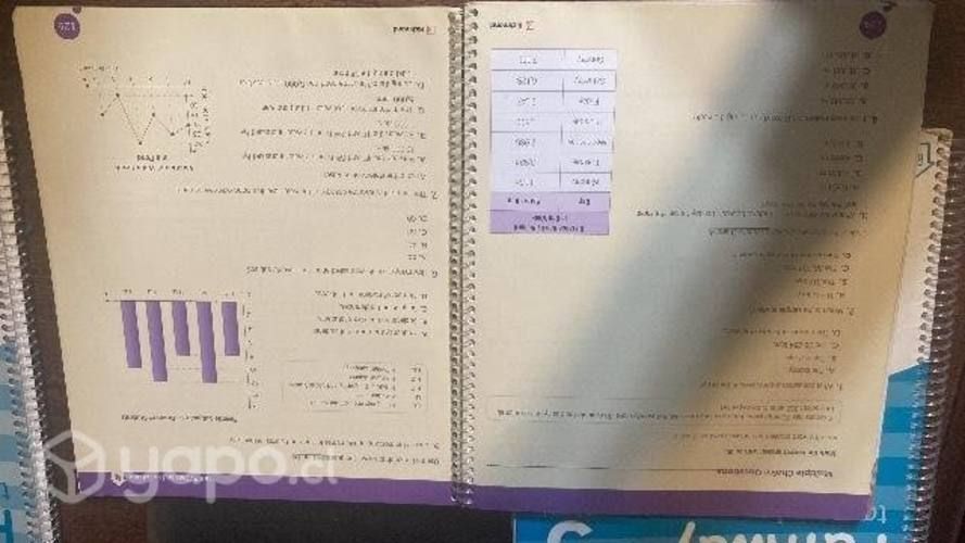 Textos Pathway to math 5 básico.