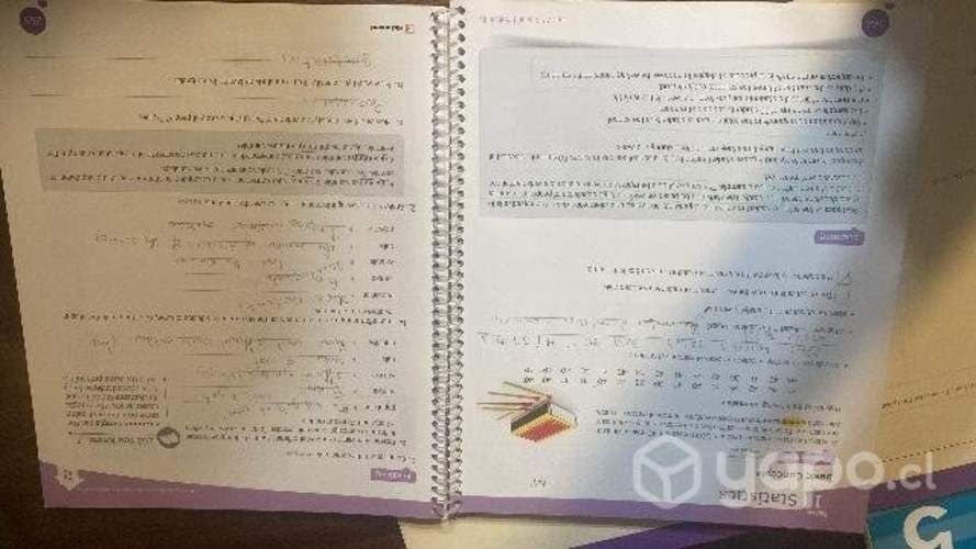 Textos Pathway to math 5 básico.