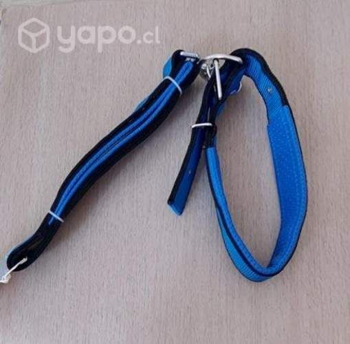 Bozal grande + collar con paseador