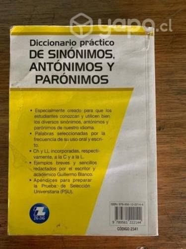 Diccionario practico