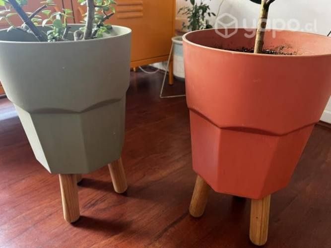 Plantas con maceteros