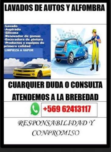 Lavados de vehículos