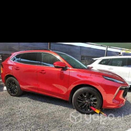 FORD TERRITORY 2024 prenda