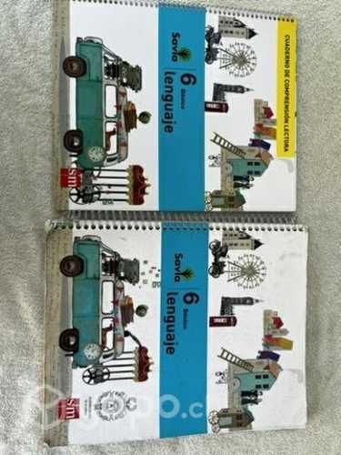 Libro lenguaje Savia 6 básico