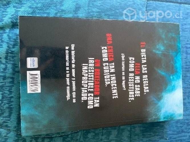 Libro las reglas del boxeador