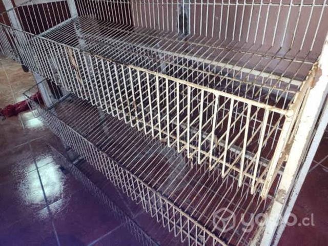 Repisa fruta o verduras