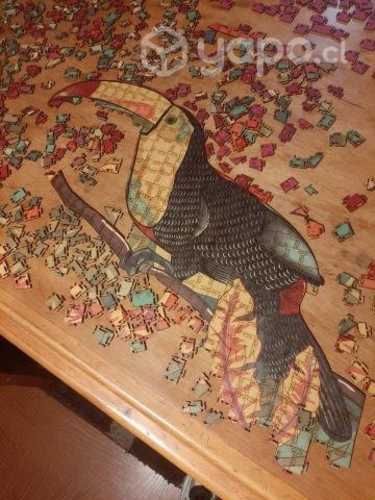 Puzzles ingenia