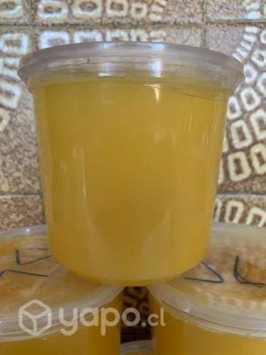 Miel de Diente de León 1 kg